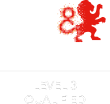 City and Guilds Level 3 Qualified